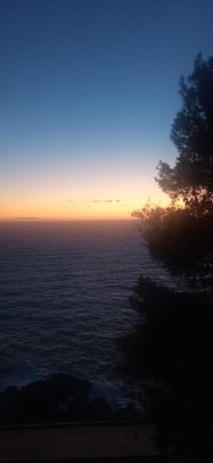 Cinqueterre National Park Sea View Apartment Framura Luaran gambar