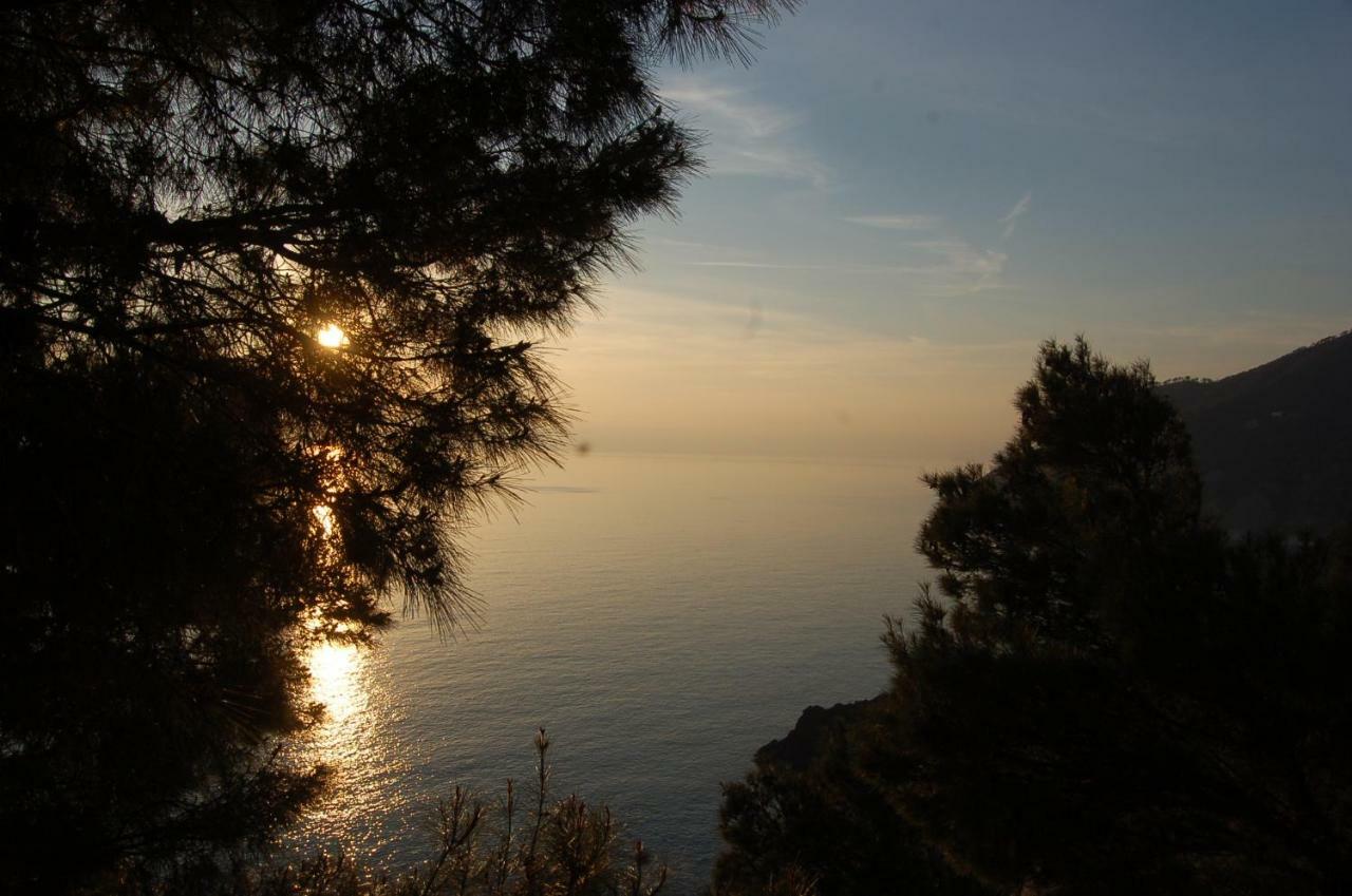 Cinqueterre National Park Sea View Apartment Framura Luaran gambar